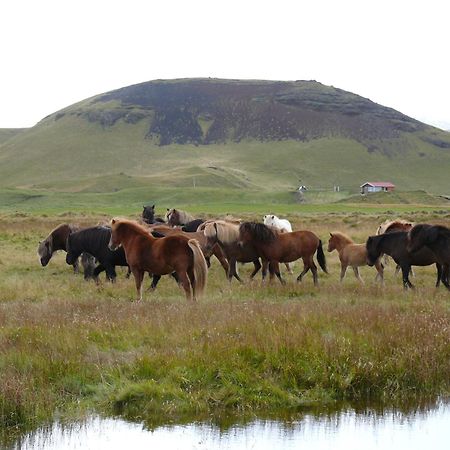 Guesthouse Vellir Vík Dış mekan fotoğraf